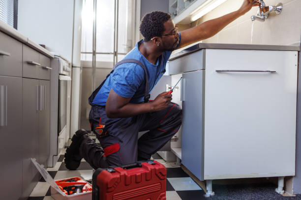 Best Toilet Repair Services  in Maplewood, MO